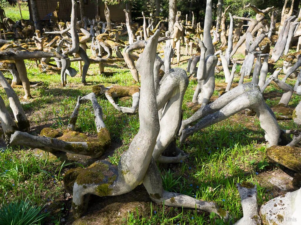 Безумный лес. Мрачный фон. Сонная лощина дерево мертвых. Мистический лес савонлинна. Эстетика зеленого.