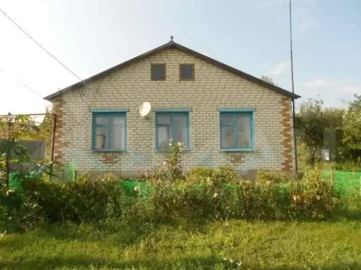 Село новосолдатка. Погода в новосолдатке белгородская область красненский. Погода в новосолдатке белгородская область красненский. С новосолдатка репьевского р-на воронежской обл. Село польниково белгородская область.