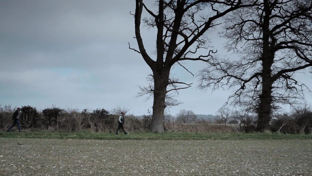 It s far from me. Дерево 2014. far from the tree. far from the tree 2025. far from the tree фильм 2025 кадры.