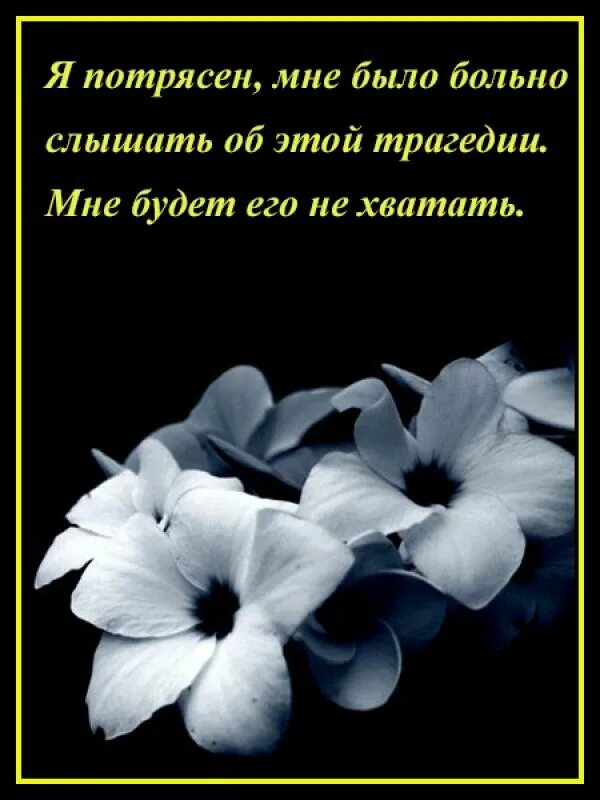 Пусть первый подснежник подарит вам нежность. Соболезнование на татарском языке своими словами. Слова скорби. Соболезнования на татарском языке. Открытки соболезнования на татарском языке.