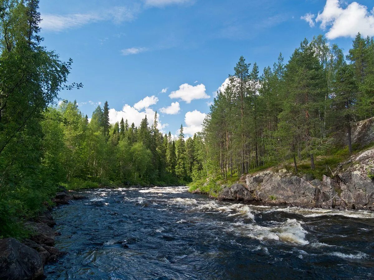 Река кереть. Пороги на реке Кереть Карелия. Кереть Карелия. Река Шуя Карелия.