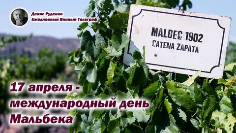 Всемирный день винограда