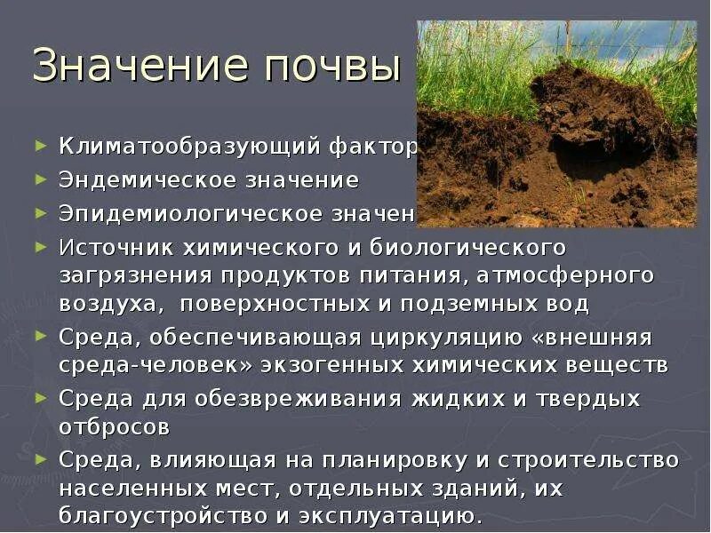 Почвенный мониторинг