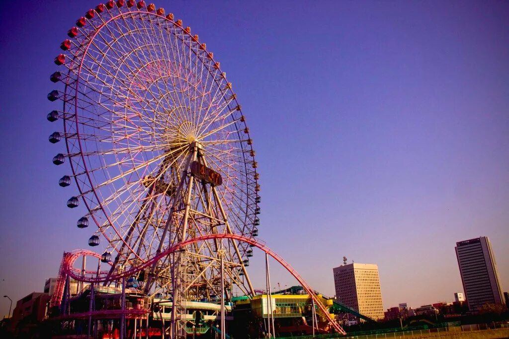 харбин токио. харбин токио. Harbin scenery озон. харбин токио. харбин конная улица.