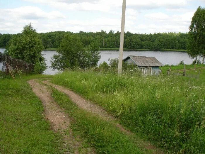 Ниже новгородская область. Рядчино Валдайский район. Деревня дворец Валдайского района. Шварково Новгородская область деревня. Деревня Марково Валдайского района.