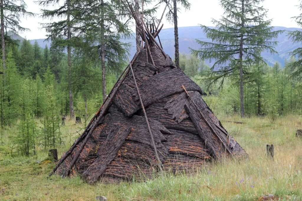 Эвенкийский дом это. Чум - жилище Тунгусов. Эвенки жилище чум. Эвенки забайкальне чум. Чум дю эвенки.