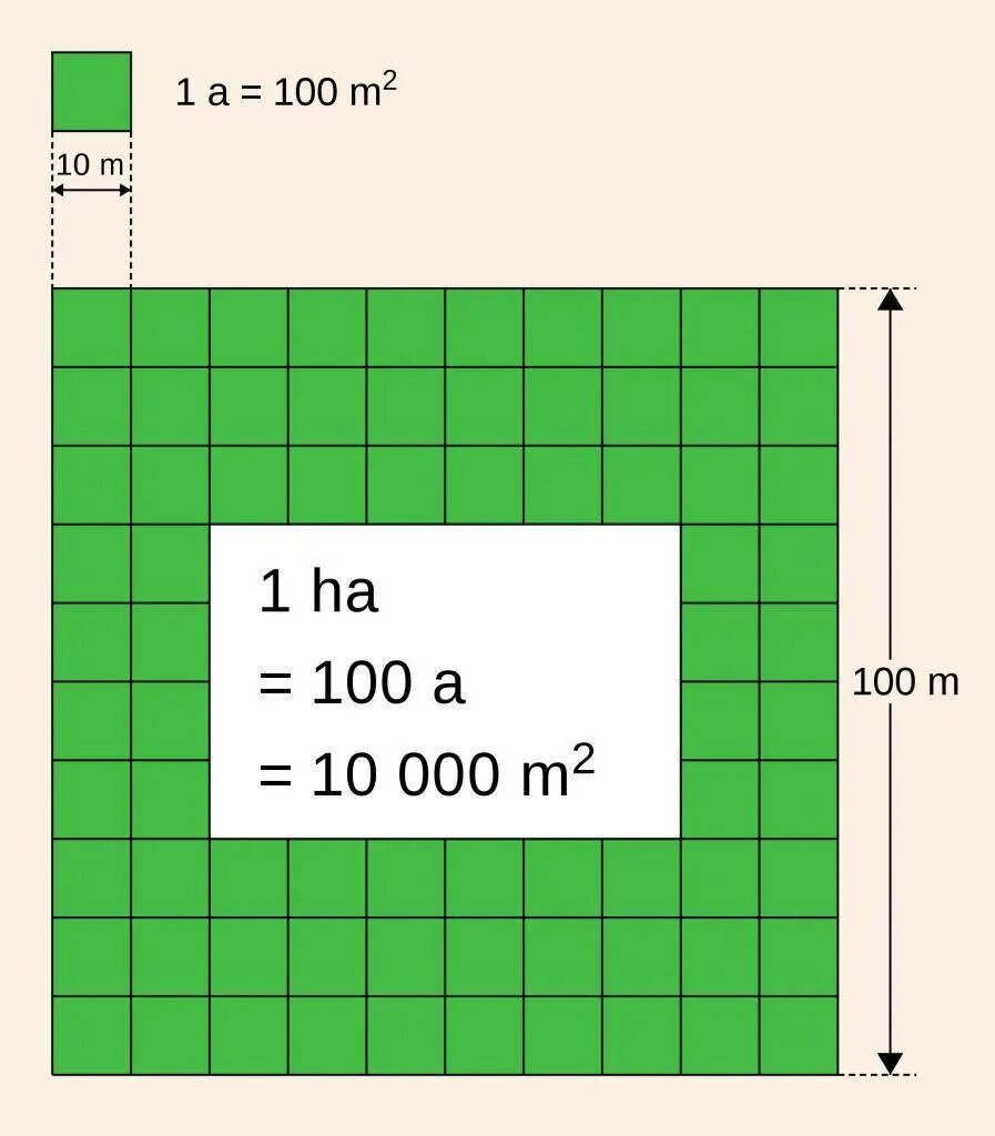 Сколько кубов земли соток. Сотки в квадратные метры. Квадратный метр. 1 Гектар. 1 Гектар в метрах.