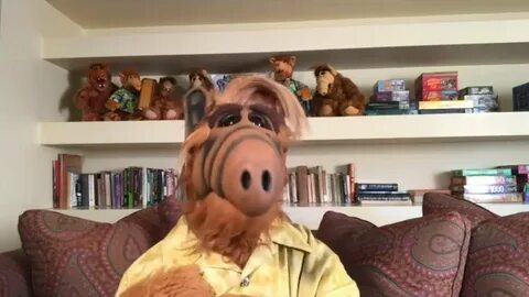 Alf - YouTube.