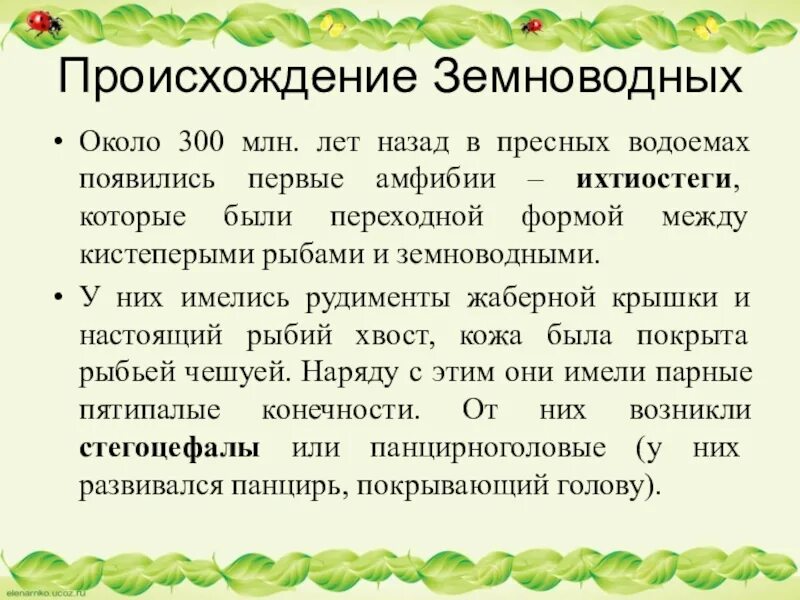 Аргументируйте вывод о происхождении земноводных. Сообщение о происхождении земноводных. Происхождение амфибий кратко. Происхождение земноводных 7 класс. Возникновение земноводных.