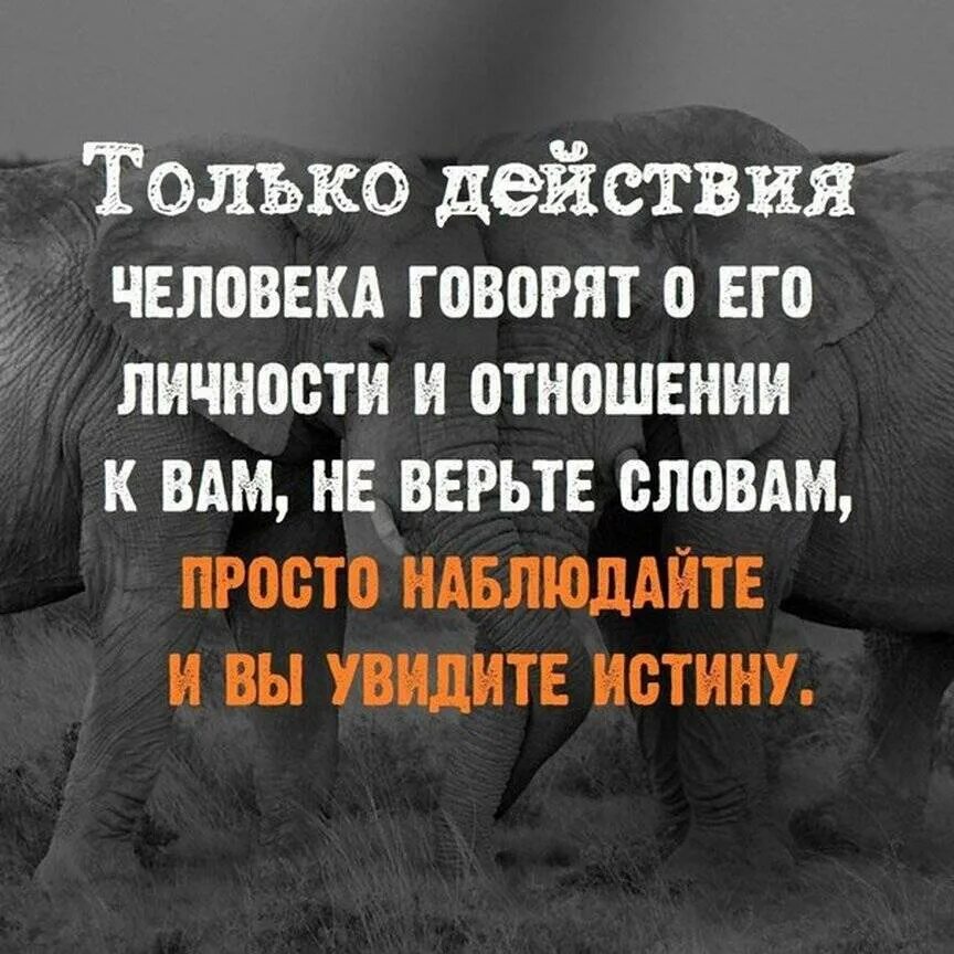 Здесь ты многое увидишь. Только действия человека говорят о его личности. Не верь словам цитаты. Не верьте словам просто наблюдайте и вы увидите истину. Только действия человека говорят о его отношении к вам.