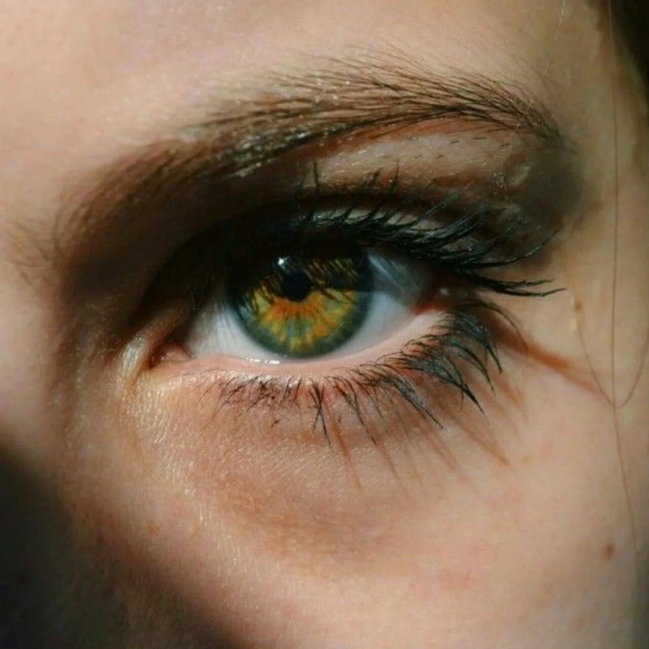 Болотный цвет глаз гетерохромия. Зелёные глаза Эстетика. Болотно зеленые глаза. Темно болотный цвет глаз.