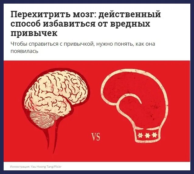 Эффективный мозг. Цитаты про мозг. Используйте свой мозг для изменений