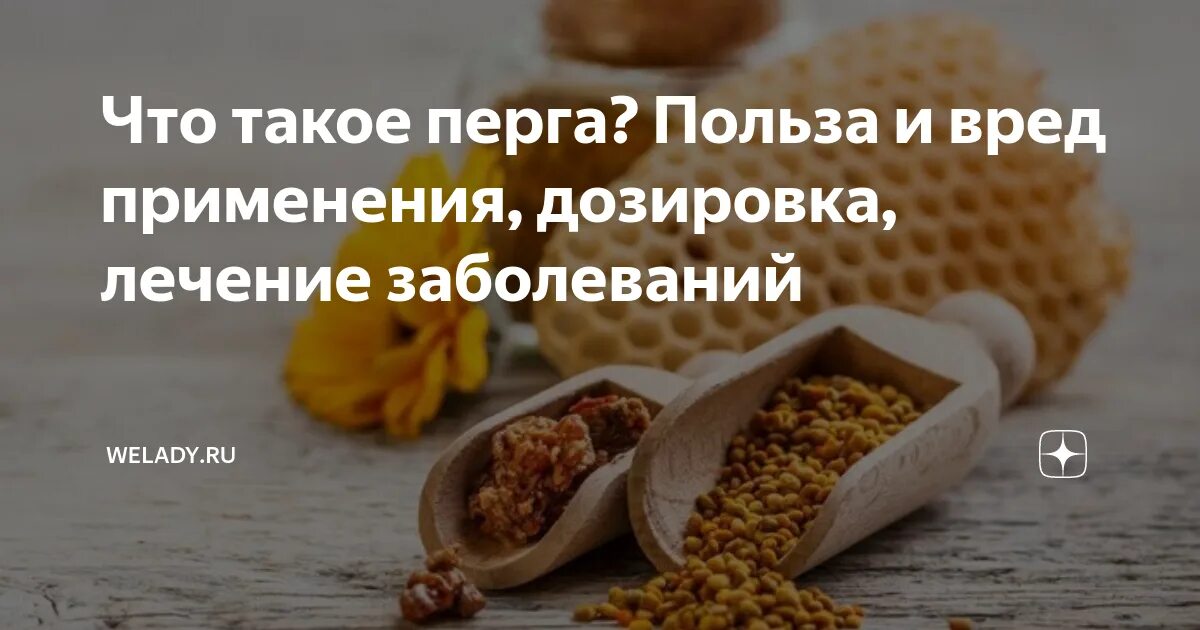 Сколько можно есть перги в день. Перга польза. перга вред. перга полезные свойства. состав перги пчелиной.