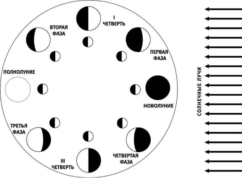 Новолуние и полнолуние. Фазы Луны схема фаз. Фаза новолуния схема. Фаза новолуния чертеж. Циклы Луны схема.