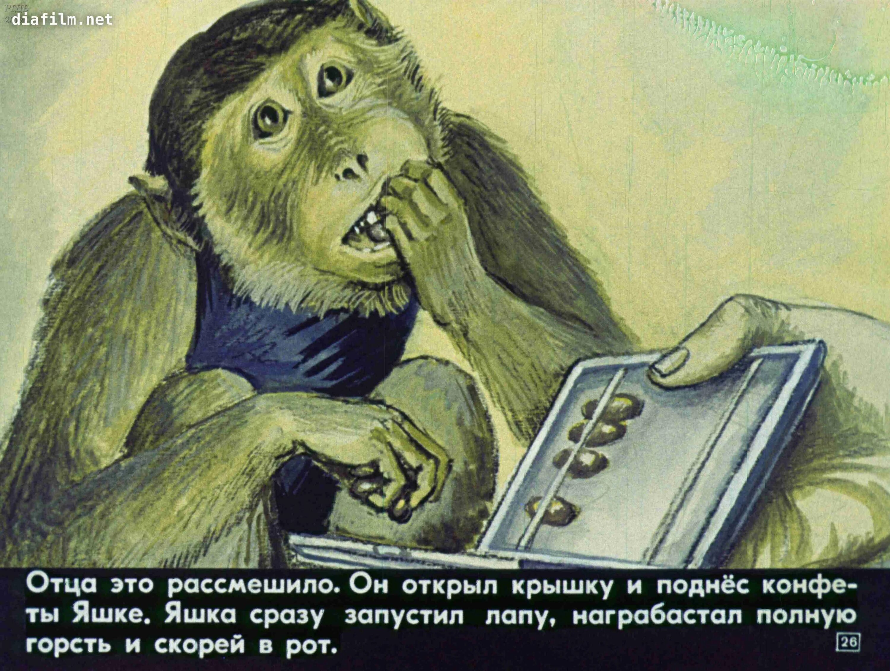 Рассказ про обезьянку яшку. Обезьянка яшка житков. про обезьянку житков иллюстрации. б житков про обезьянку. про обезьянку житков обезьяна.