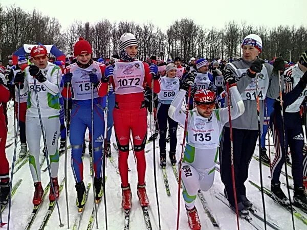 кросс нации ульяновск. спортивные соревнования. эстафета 07 мая 2023 архангельск этапы забега. эстафета памяти 2023 калуга. эстафета 9 мая петрозаводск 2021.