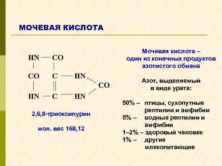 Против мочевой кислоты. Мочевая кислота конечный продукт азотистого обмена у. Мочевая формула. Ураты биологическая роль. Обмен мочевой кислоты.