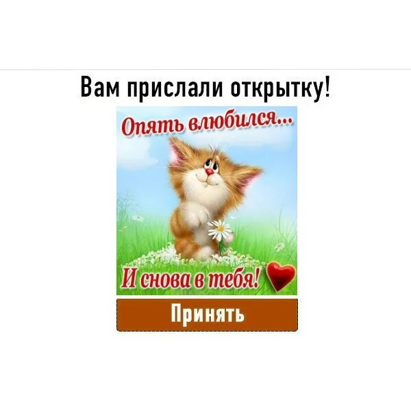 Вновь влюблена. Опять влюбилась опять в тебя. Снова влюбился и снова в тебя. Я опять влюбилась. Я влюбляюсь в тебя снова и снова.