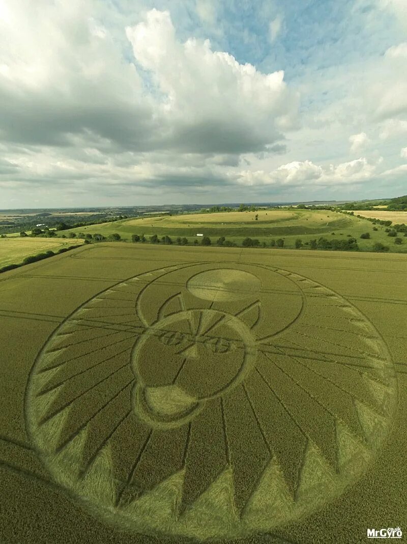 Знаки на полях фото 30 Images Of Crop Circles We'd Never Set Foot In TheTravel Crop circles, Circle