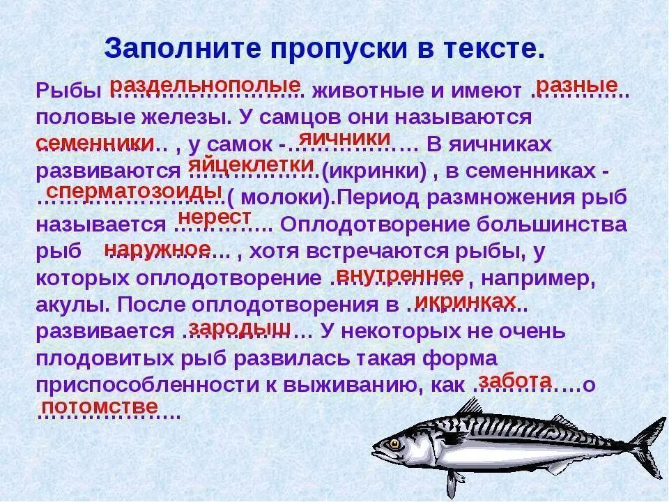Размножение рыб. Особенности размножения рыб. Размножение рыб кратко. Сообщение о размножении рыб.