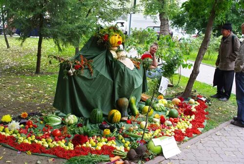 Сад Шубиной. Питомник Шубиной. Питомник Людмилы Шубиной. Цветок Шубиной.