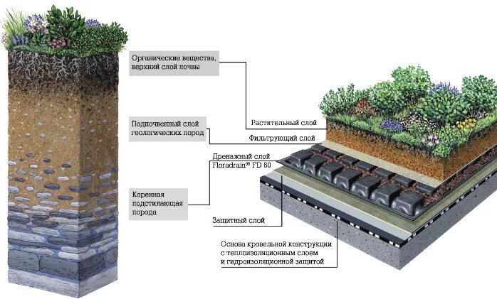 Стационарный слой. Зеленая кровля цинко пирог. Схема устройства газона посевного. Эксплуатируемая зеленая кровля пирог. Эксплуатируемая зеленая кровля схема.