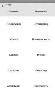 Основа латинского