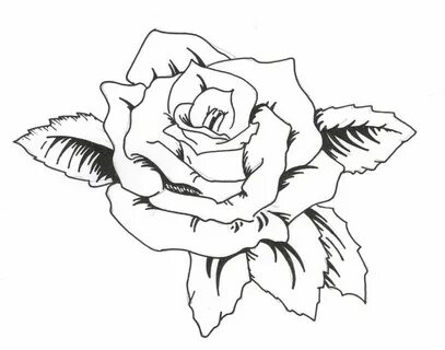 Красивые рисунки контур