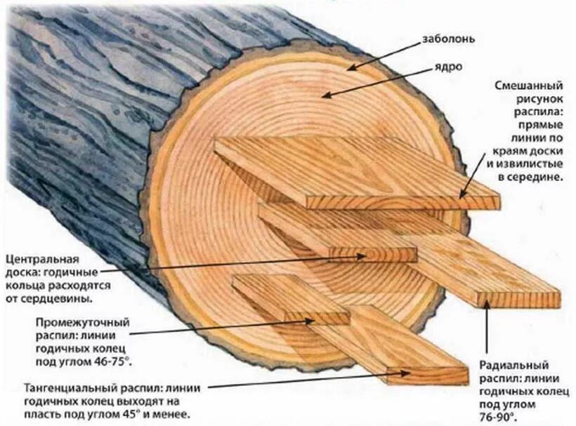 Примеры среза. Тангентальный срез древесины. Радиальный и тангенциальный распил. Радиальный и тангенциальный распил древесины. Радиальный и тангенциальный распил дуба.