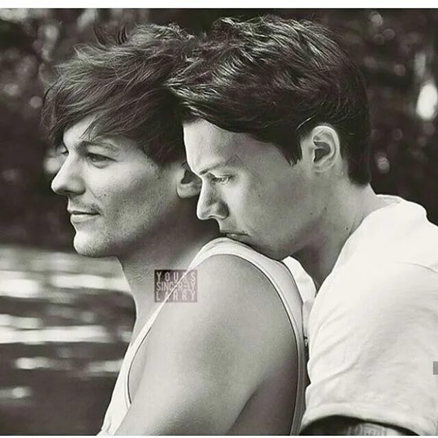 Larry and lawrie reader. Larry stylinson. ларри.