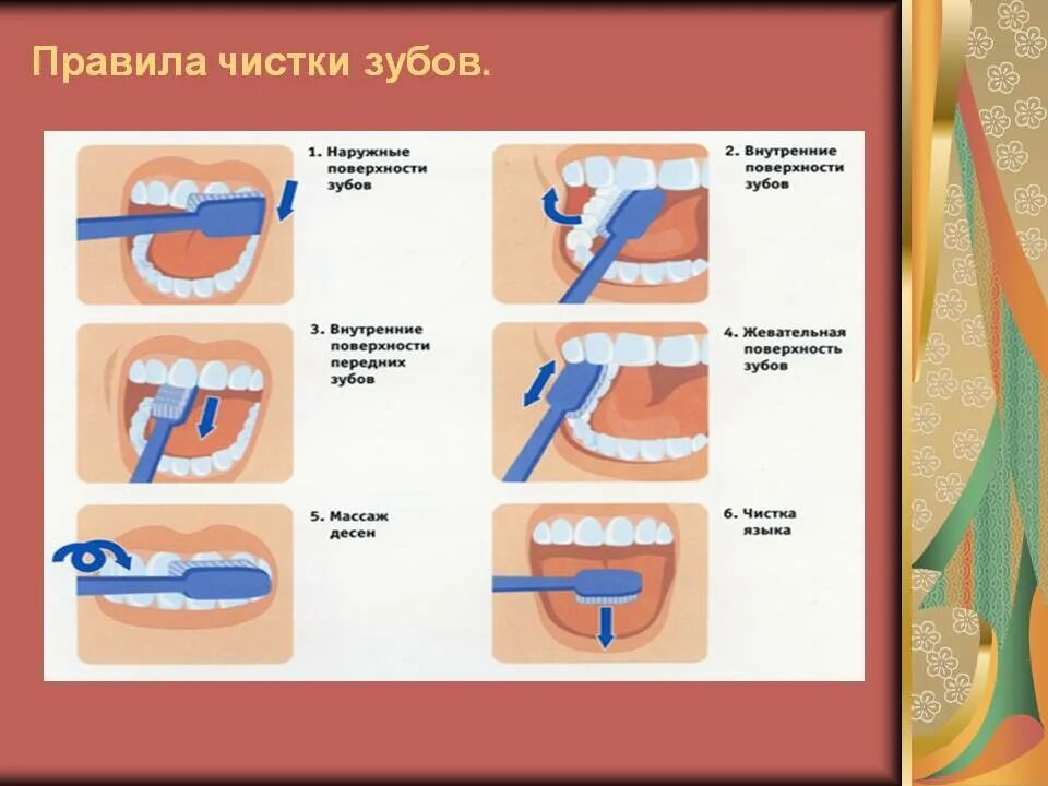 Правильная методика чистки зубов зубной щёткой. Методы чистки зубов стандартный метод. Стандартный метод чистки зубов схема. Методы чистки зубов: стандартный метод чистки. Полезно чистить зубы