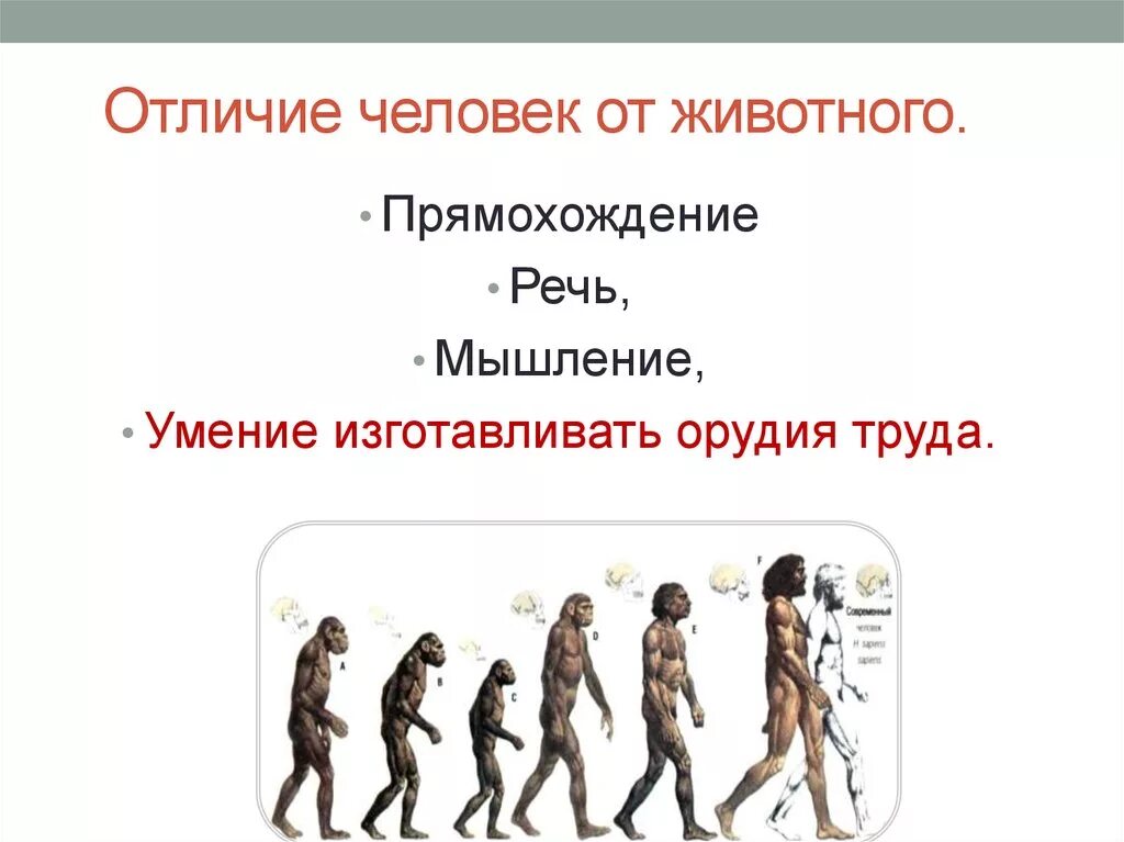 Что отличает человека. Отличие человека от животных. Отличипчеловекаот животного. Чем человек отличается от животного. Доклад чем человек отличается от животного.