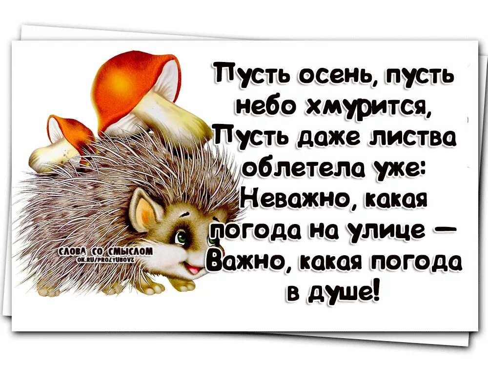 Погода на душе будет. Статусы про погоду осень. Цитаты про погоду и настроение со смыслом. Слова со смыслом про осень. Статусы о погоде осенью.