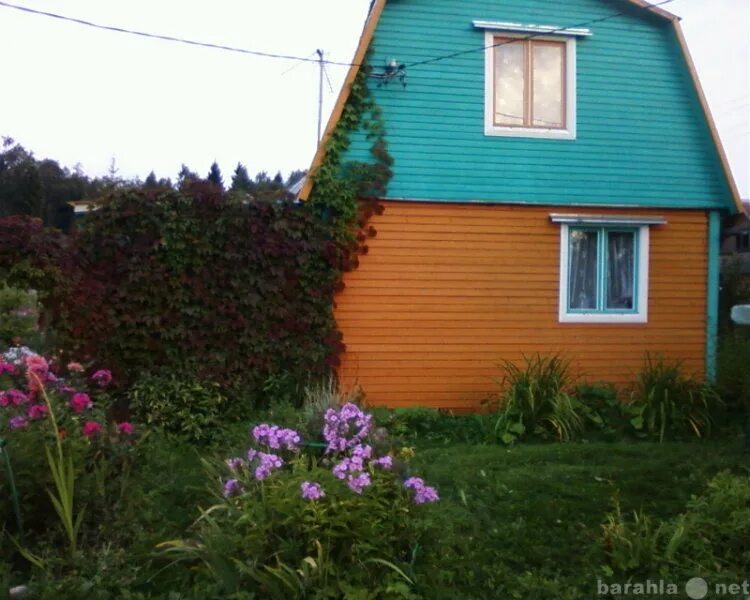 Купавна снт дача. Снт бабкина дача 2. снт купавна. снт мираж клинский район. снт салют клинский район.