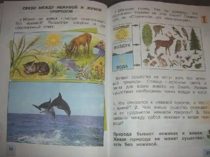 Окружающий мир 2 класс учебник страница 37