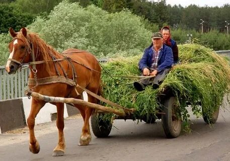 Работаем через телегу