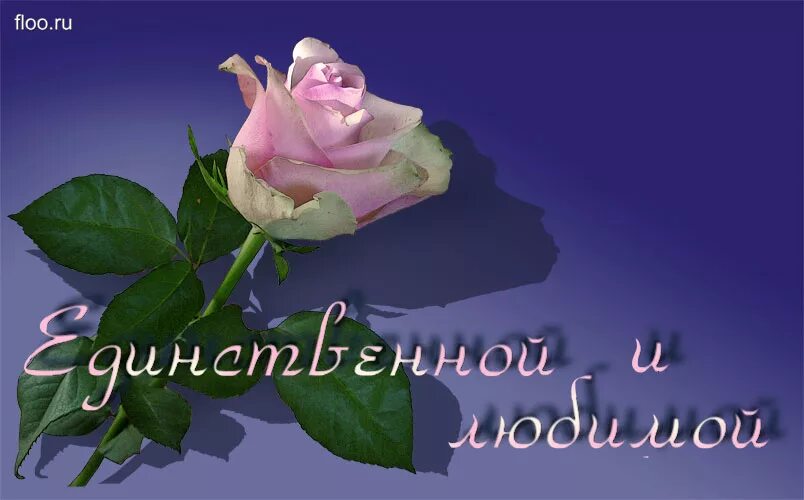 самой дорогой и любимой. красивые стихи девушке. ты самая моя на света единственная. самой родной и любимой. любимой и единственной.