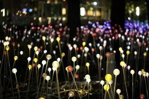 Will lights