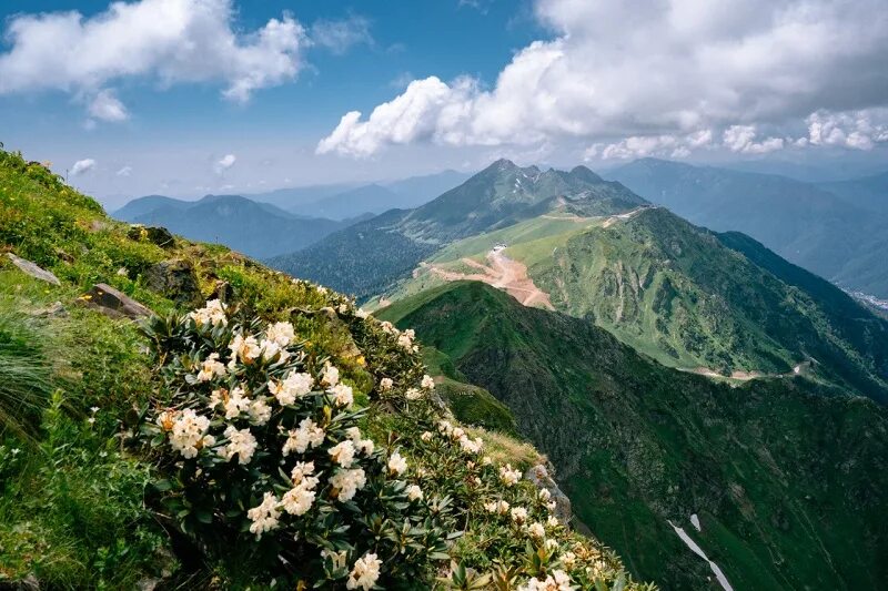 пслух красная поляна. экотуризм в сочи. горы на красной поляне ачишхо. горы кавказ красная поляна сочи. сочи , красная поляна летом 2021.