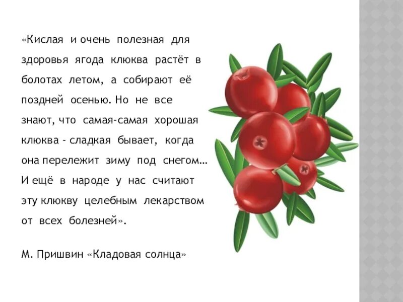 Стихи про клюкву. Стихи для дошкольников про клюкву. Кислая и очень полезная ягода клюква. Частушки про клюкву.