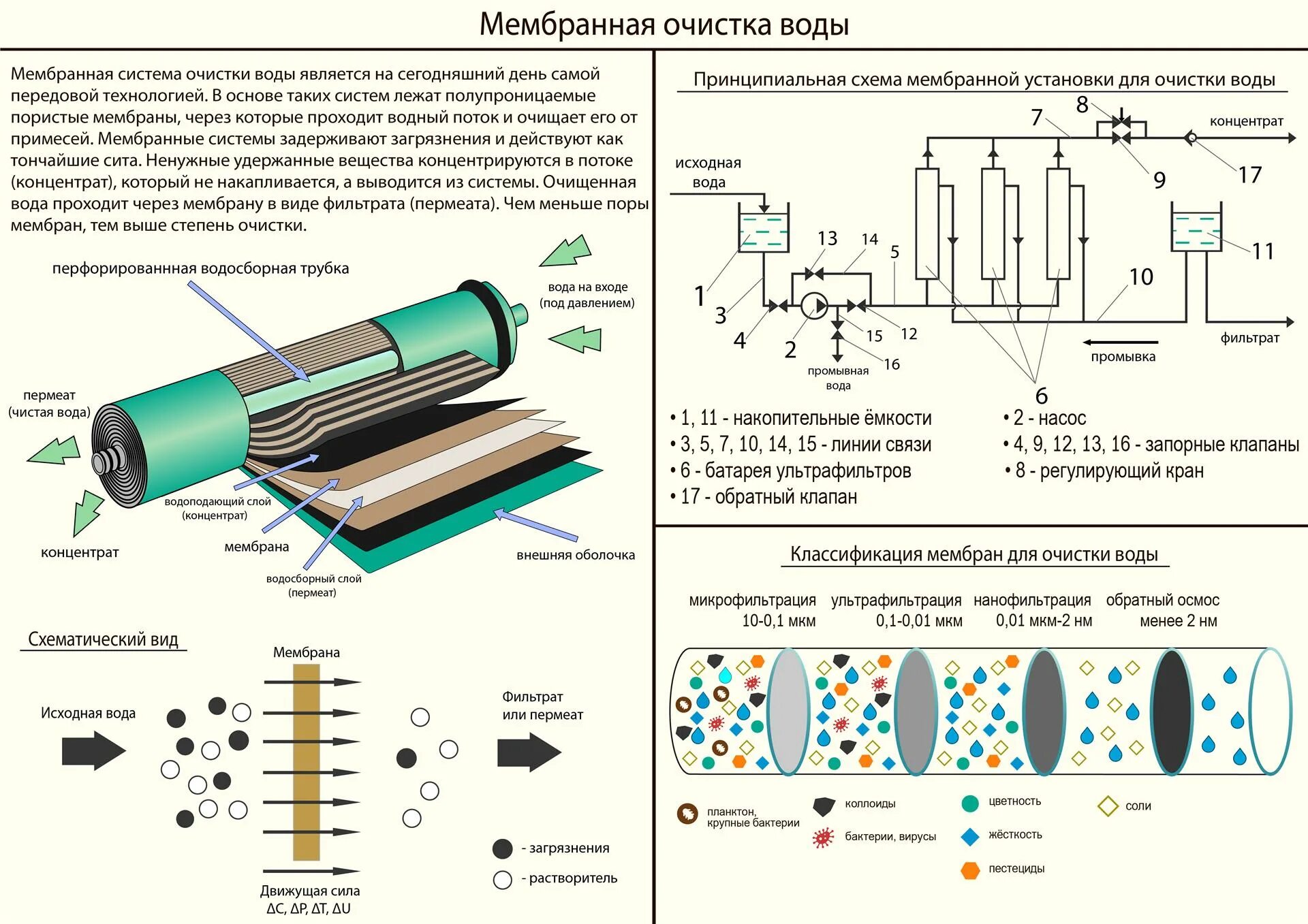Состав исходной воды. Мембрана обратного осмоса схема. Схема 2 обратноосмотических мембран. Структура мембраны обратного осмоса. Схема работы мембраны обратного осмоса.