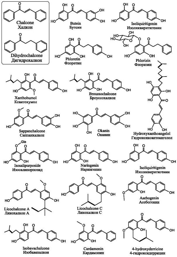 Биофизика биохимия. Халкон формула структурная. Халконы, дигидрохалконы. Халконы Синтез. Рутин формула структурная.