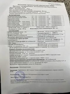 Гиперэхогенный кишечник у плода в 20 недель