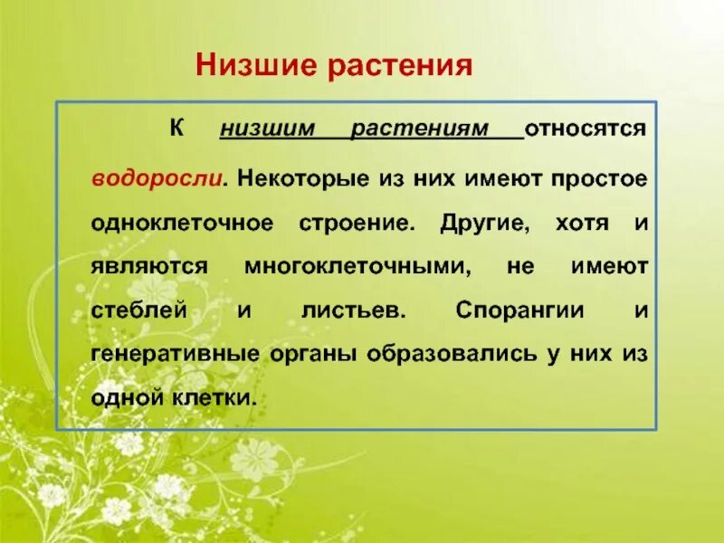 Водоросли относятся к растениям так как. Низшие растения. Термин низшие растения. Растения относящиеся к водорослям. К низшим растениям относятся.