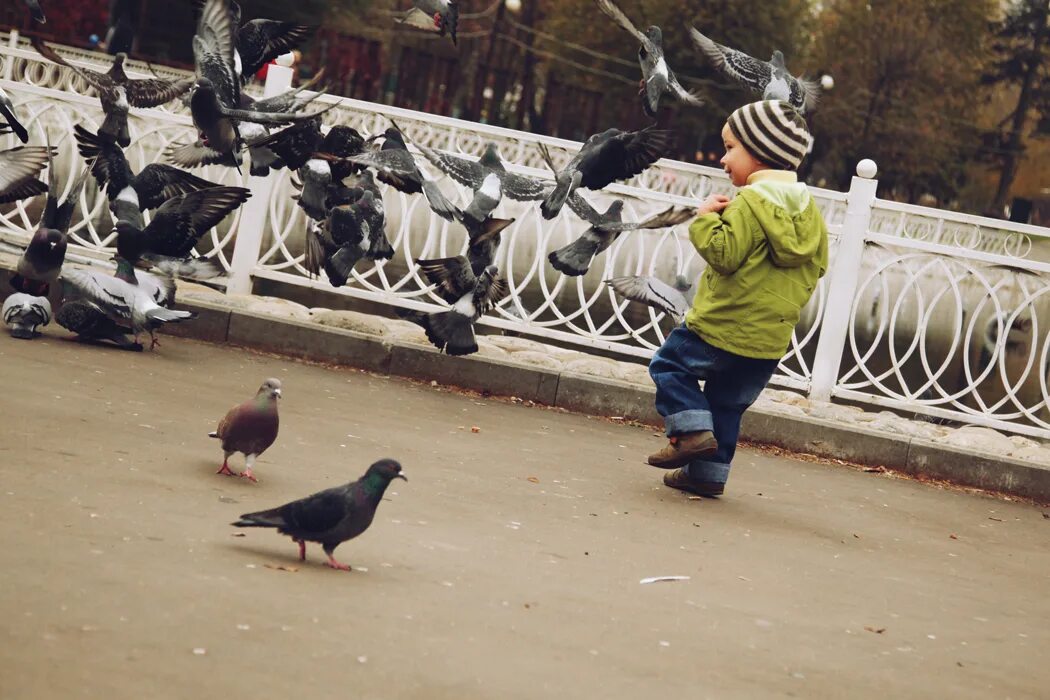 Мальчик гоняет. Голуби в парке. Голубей гонять. Парк с голубями. Фотосессия с голубями на улице.