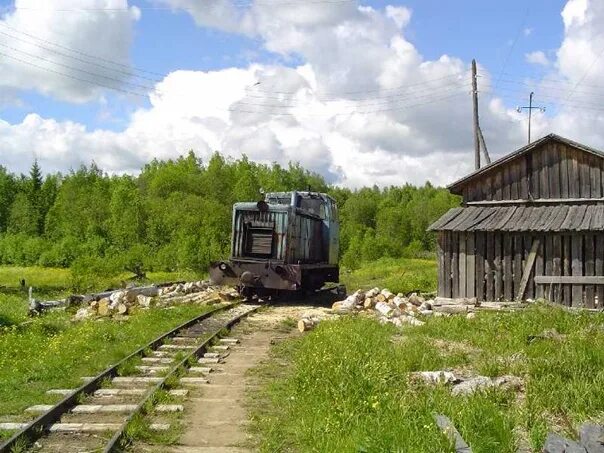 Кадниковский вожегодский. Кадниковский Вологодская область. Харовск Вологодская область узкоколейка. УЖД Яхренга Кадниковский. Поселок Кадниковский.