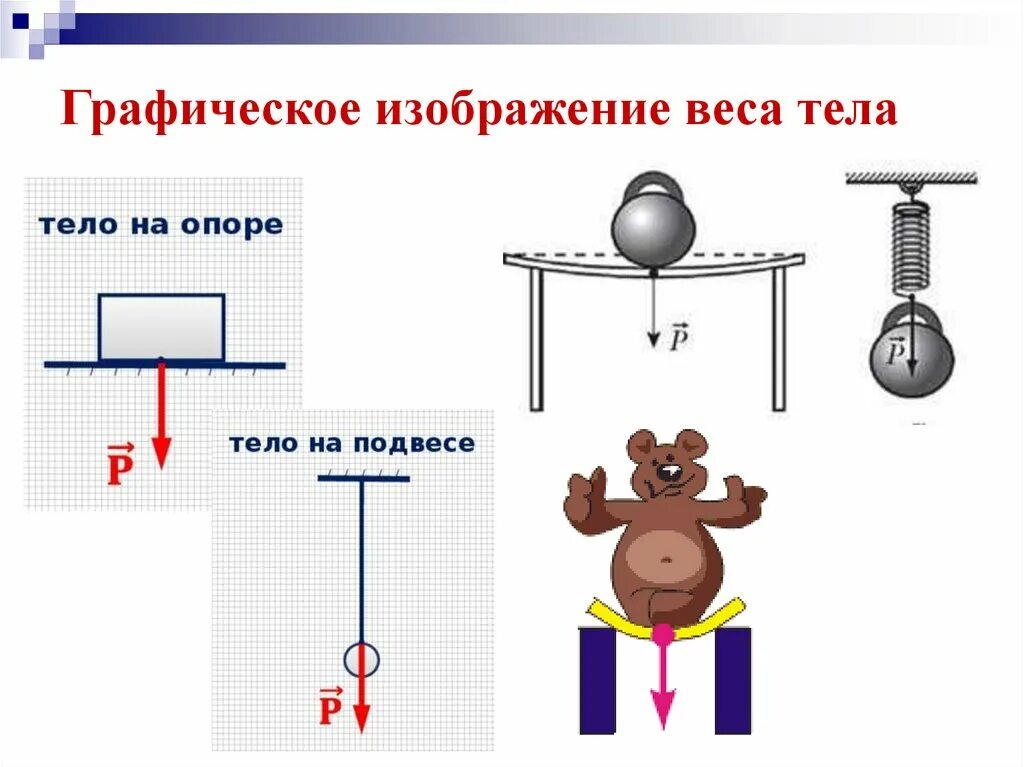 Сила веса тела определение. Физика 7 класс сила вес тела. Обозначение веса тела в физике 7 класс. Изображение силы веса тела. Вес тела чертеж.