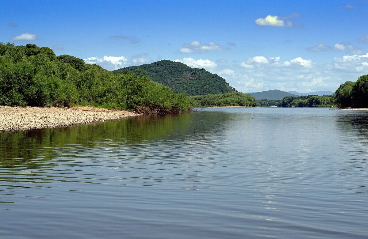 Река уссури хабаровский край. Берег река уссури лесозаводск. Охрана река уссури. Река уссури приморский край. Исток реки уссури приморского края.
