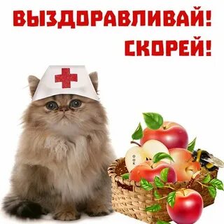 Скорейшего выздоровления надпись