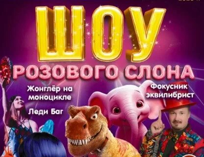 Билеты в цирк калининград